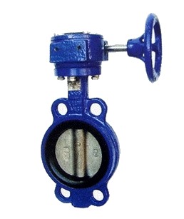 對(duì)夾蝸輪蝶閥